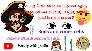 Rods and Cones cells | Why do pirates cover their  eye | Colour Blindness | Study with Jeslin |