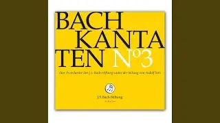 BWV 132 - Bereitet die Wege bereitet die Bahn!: Arie (Altus) - Christi Glieder ach bedenket