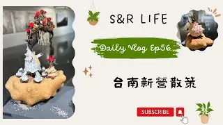 週末日常Ep56-(花燒肉)(透南風咖啡聚場)(三津制麵)(南瀛綠都心公園)(臺南市新營文化中心)(2024南瀛獎)