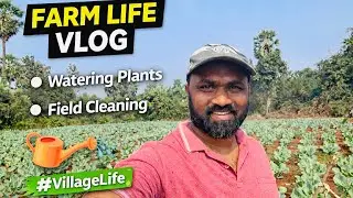 Morning Work in My Farm 🚜 | Watering Plants & Cleaning Field