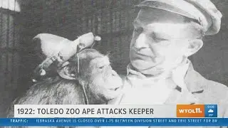 An animal attack on a zookeeper and an east Toledo explosion | Today in Toledo History April 20