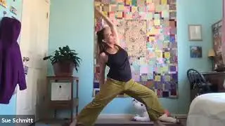 Wellness with Sue | Yoga | Hatha Slow Flow 1 hour class