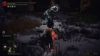 Elden Ring Convergence Blighted Nox Ancestor 1 of 3