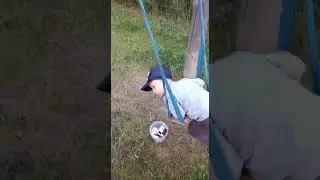 Приключения El Nini в деревне у бабушки