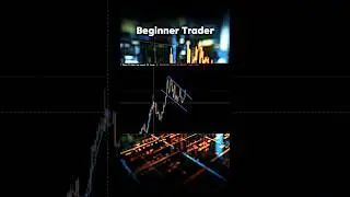 new trader vs pro trader #forex #shortvideo #trading