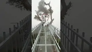 INSANE Kalimpong Skywalk Views! 🤯 (Dabling View Point) #kalimpong #skywalk #shorts