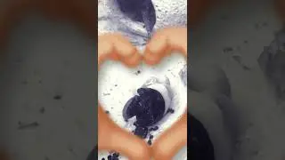 #tanklife