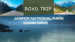 Scenic Drive in Jasper National Park |#moments