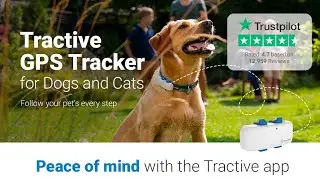 Tractive GPS Pet Tracker for Dogs l Amazon