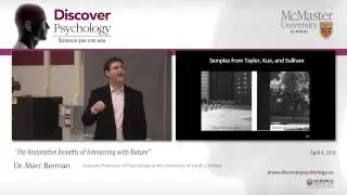 Dr. Marc Berman - 
