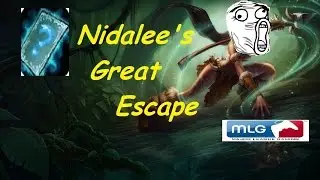 Nidalee's Great Escape