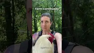 Farm Community Series Intro