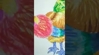 beautiful hen 🐔  drawing