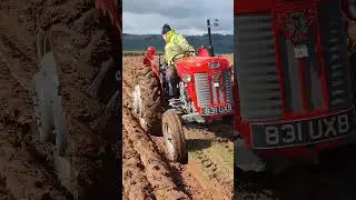 Massey Ferguson 65 at Teme Valley Ploughing Working Shine Up and Fun Day Sunday 24th March 2024
