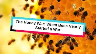 The Honey War: When Bees Nearly Started a War