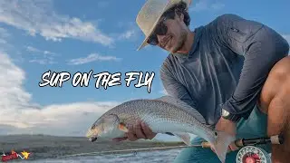 Fly Fishing for Redfish | SUP Fly Fishing | South Carolina | LIVE Watersports