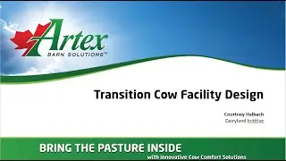 Transition Cows Facility Design