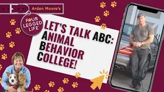 When you love pets, it's all about the ABC's  #peteducation #dogtraining