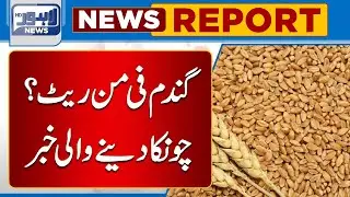Big News about Wheat Price | Lahore News HD