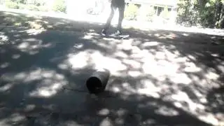 Sewer halfpipe grind
