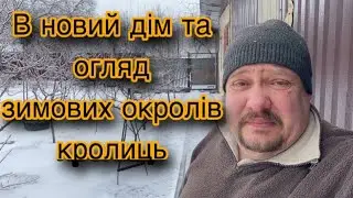 В НОВИЙ ДІМ ПОЇХАВ КАЧУР. ОГЛЯДАЄМО ОКРОЛИ У КРОЛИЦЬ. ТЕРМОНКИ ТА БУРГУНОК. ЗИМОВІ ОКРОЛИ