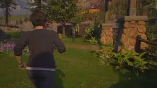 Life is Strange: True Colors Bird Spotting Trophy