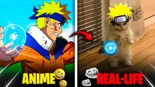 🤯 Naruto JUTSU In Real-Life 💀 ft.Cat Uchiha