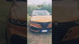 New Alfa Romeo Tonale Giallo Ocra #shorts