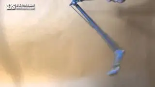 DS doll robot leg test