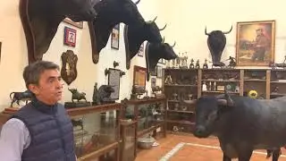 MUSEO VICTORINO MARTIN. UN PASEO POR NUESTRA HISTORIA.