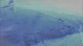 Ein Grosse Problem: A NO AI single By Illinois Department of Sound. By humans for humans & AI-free