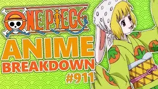 The Plan BEGINS! One Piece Episode 911 BREAKDOWN