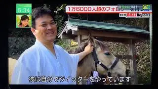 吉川八幡神社 御神馬いづめ