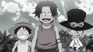 One Piece ASL Promise Of Lifetime