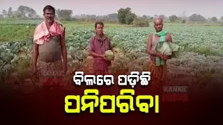 Vegetable Farmers Bears Huge Losses As State Imports Vegetables Outside Odisha