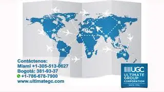 Ultimate Group Corp, su agente de compras en Estados Unidos