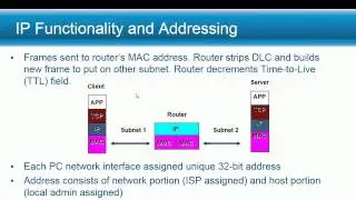 IP Header