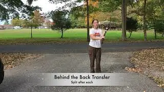 Stickwork Series - BTB Transfer