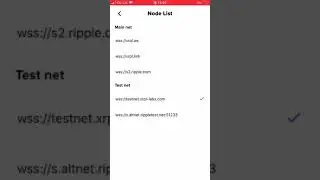 Setup XUMM on the XRPL TestNet