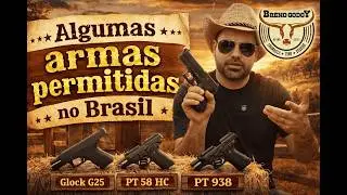 Algumas armas permitidas disponíveis no mercado - Glock G25 - PT 938 - PT 58 HC todas em .380ACP