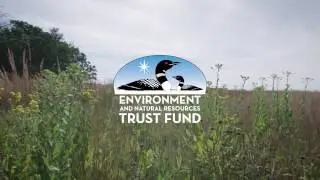 Minnesota Lottery Proceeds Benefit the State of Minnesota