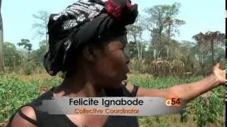Central African Republic Violence