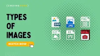Types Of Images | What Is Image Resolution? | What Are Vector Images?
