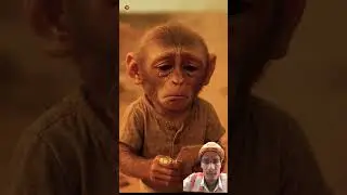 #sad #monkey #sadmonkey
