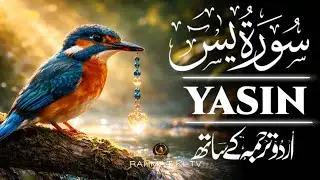 Surah Yaseen with Urdu Translation (Full) Surah Yasin | Tarjuma ke Sath | Ep-006