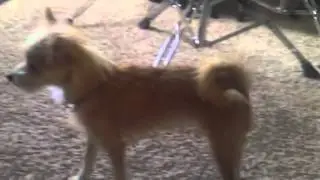 Natural born talent!