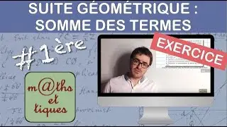 EXERCICE : Calculer la somme des termes d'une suite géométrique - Première