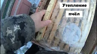 Утепление пчелиных семей перед морозами.