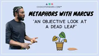 An Objective Look at a Dead Leaf | Metaphors with Marcus