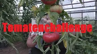 Tomatenchallenge 2022